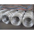 Elec. /Hot Galv. Iron Wire/ Black Annealed Wire